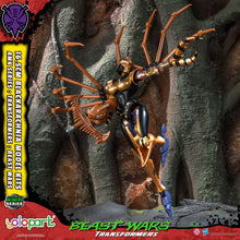 Load image into Gallery viewer, PRE - ORDER: TRANSFORMERS BEAST WARS AMK Series Blackarachnia Model Kit